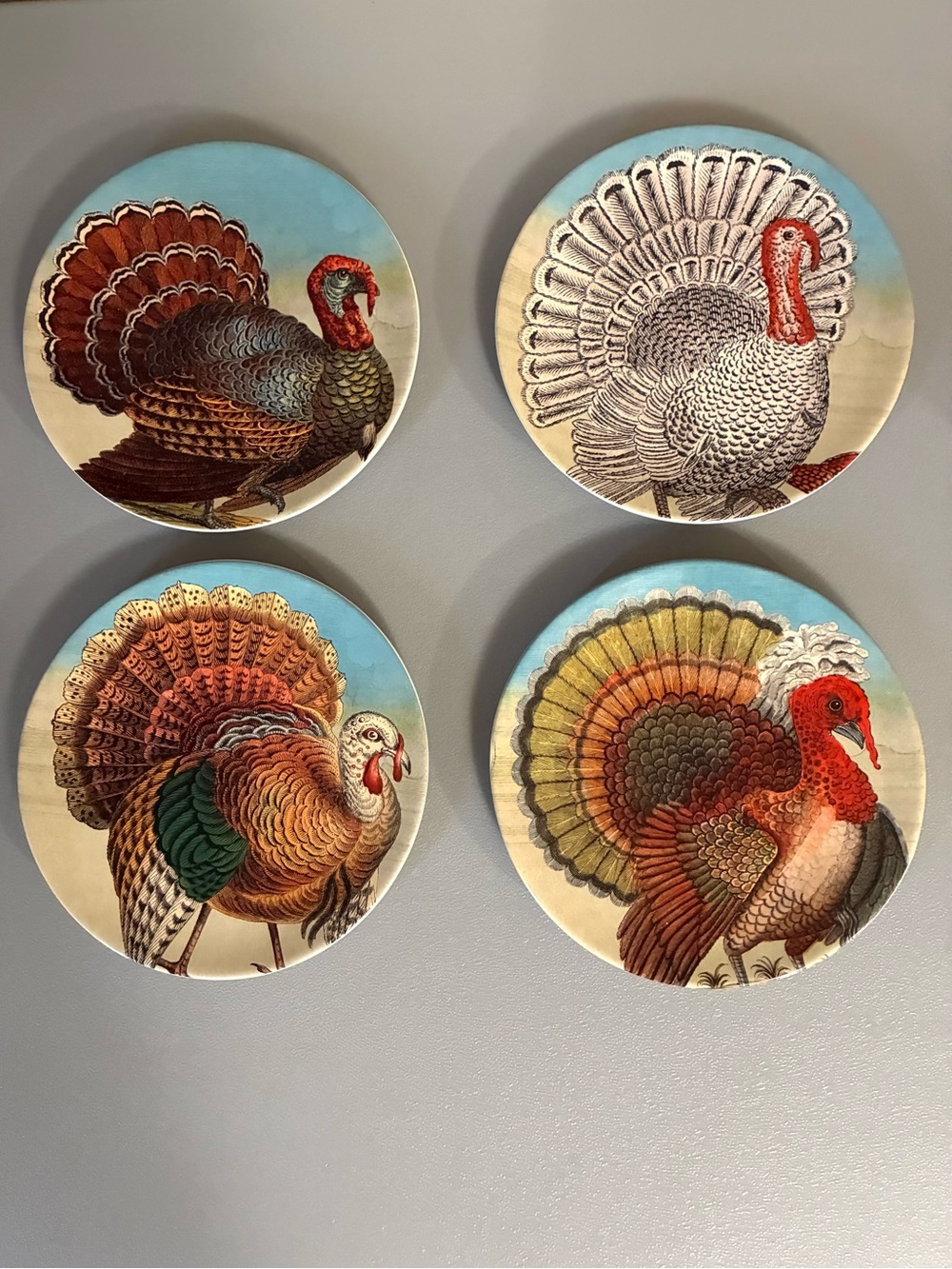 John Derian Multicolor Turkey Salad Plates - Set of 4